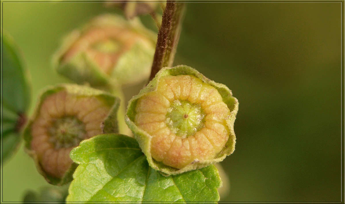 �������� ����� ������  �� PhotoGeek.ru #�����