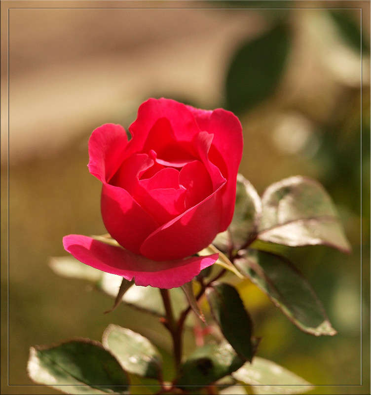 ������� ����� ������  �� PhotoGeek.ru #������ ��� �������