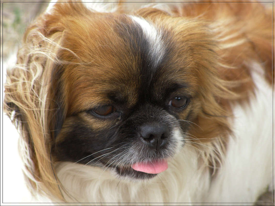 � ������������ ����� ������  �� PhotoGeek.ru #�������� ���