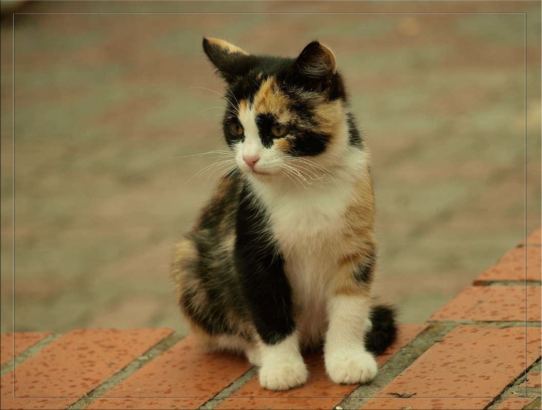 ������� 1 ����� ������  �� PhotoGeek.ru #�������� ���