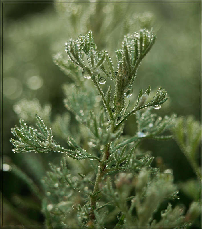 ������� 1 ����� ������  �� PhotoGeek.ru #������ ��� �������