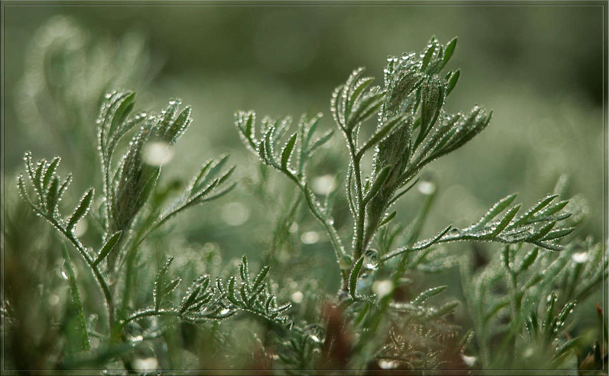 ������� 2 ����� ������  �� PhotoGeek.ru #������ ��� �������