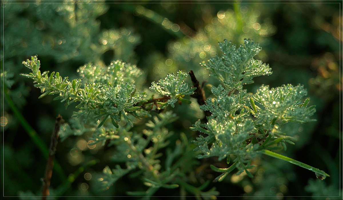 ������� 3 ����� ������  �� PhotoGeek.ru #������ ��� �������