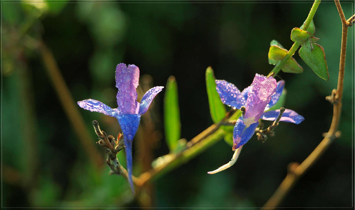 ������� 4 ����� ������  �� PhotoGeek.ru #������ ��� �������