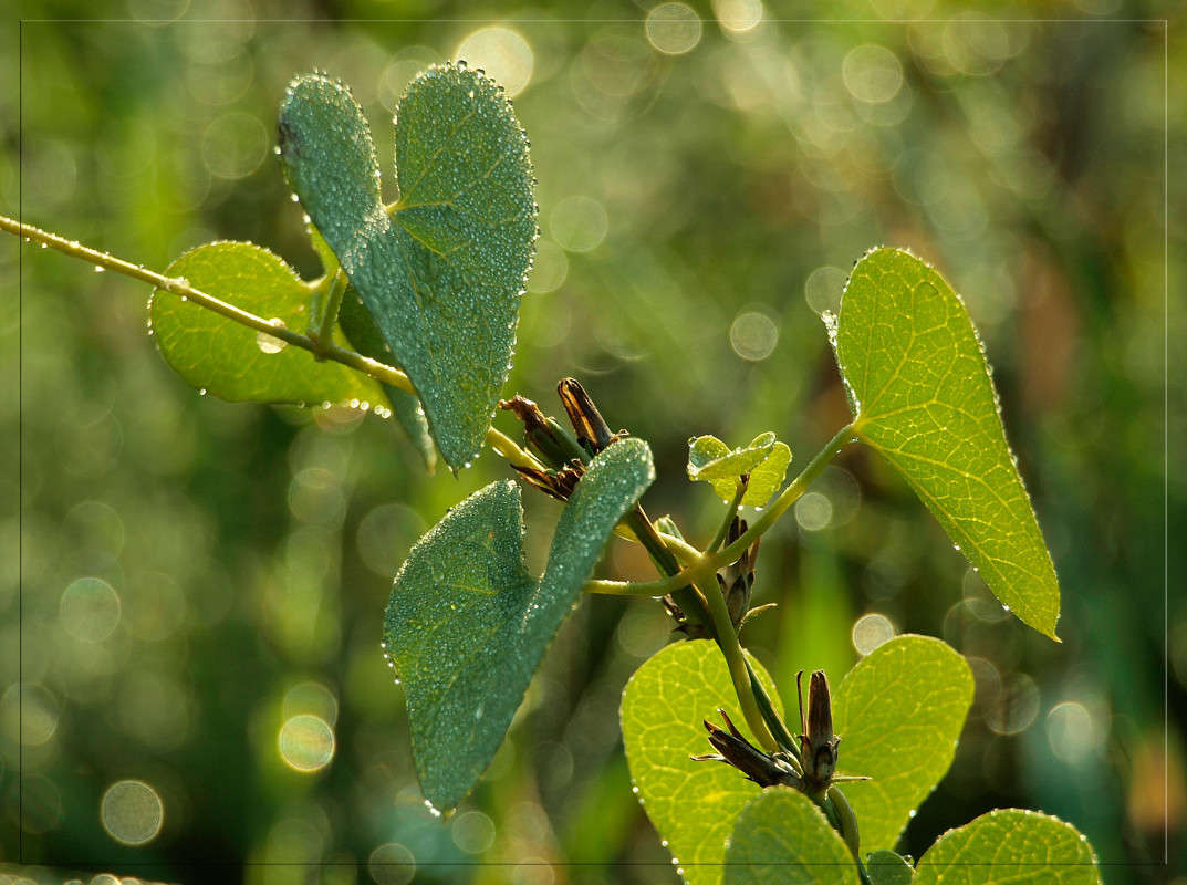 ������� 5 ����� ������  �� PhotoGeek.ru #������ ��� �������