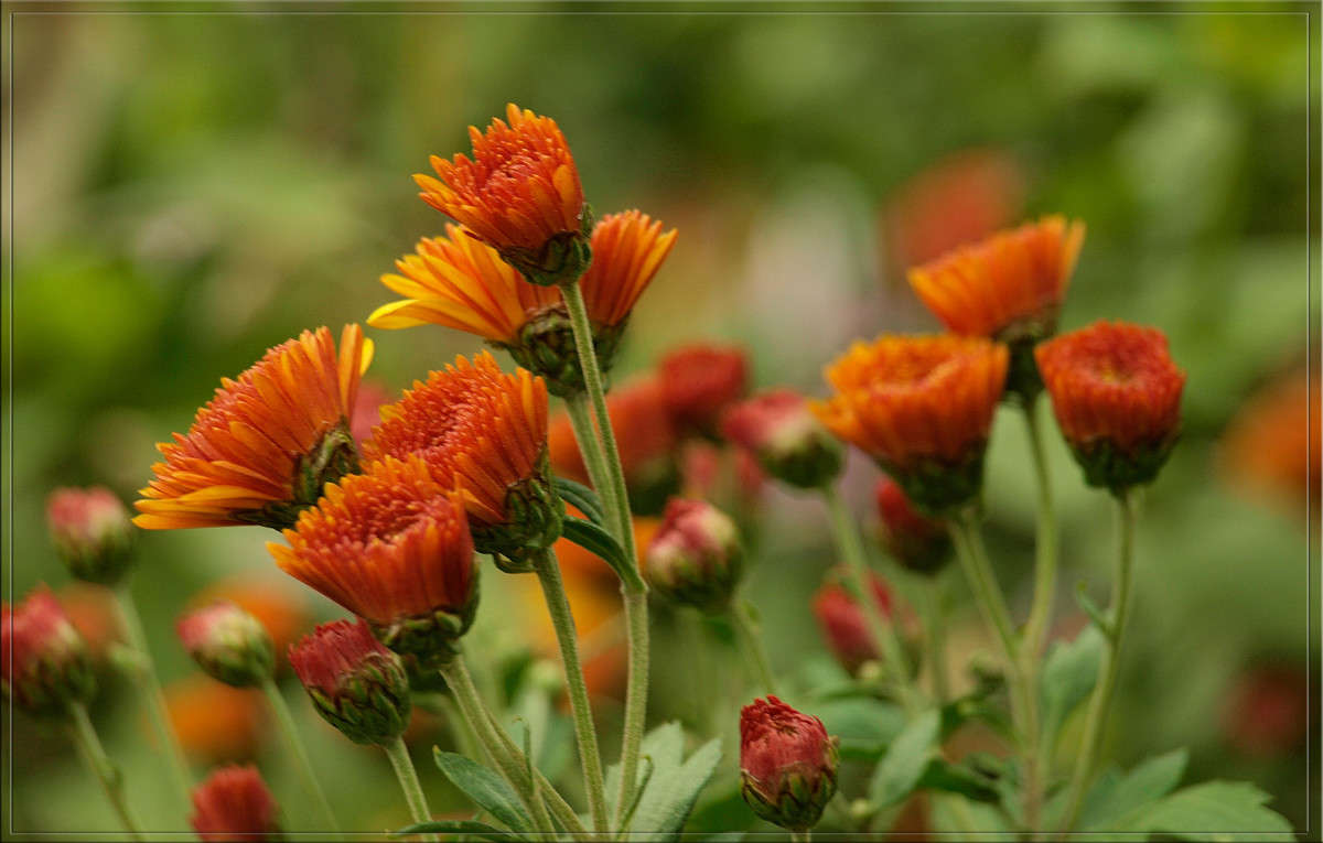 ������������ ����� ������  �� PhotoGeek.ru #������ ��� �������