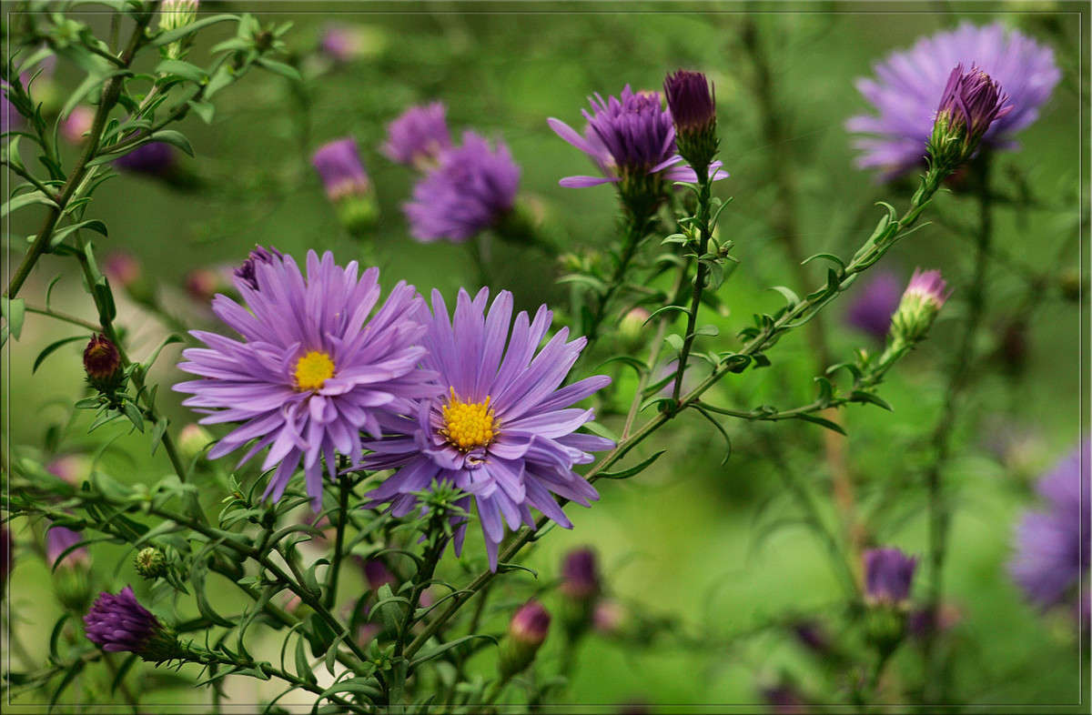 � � ��� �� ����� ����� ������  �� PhotoGeek.ru #������ ��� �������