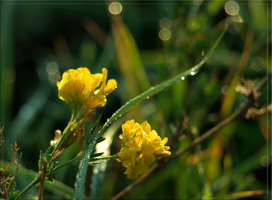 �������� ����� ������  �� PhotoGeek.ru #������ ��� �������