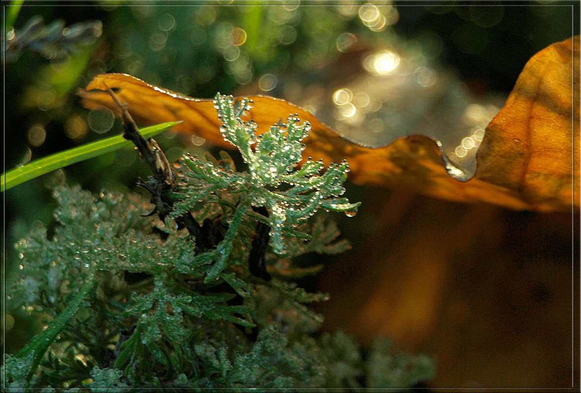 ����� � �������� ����� ������  �� PhotoGeek.ru #������ ��� �������