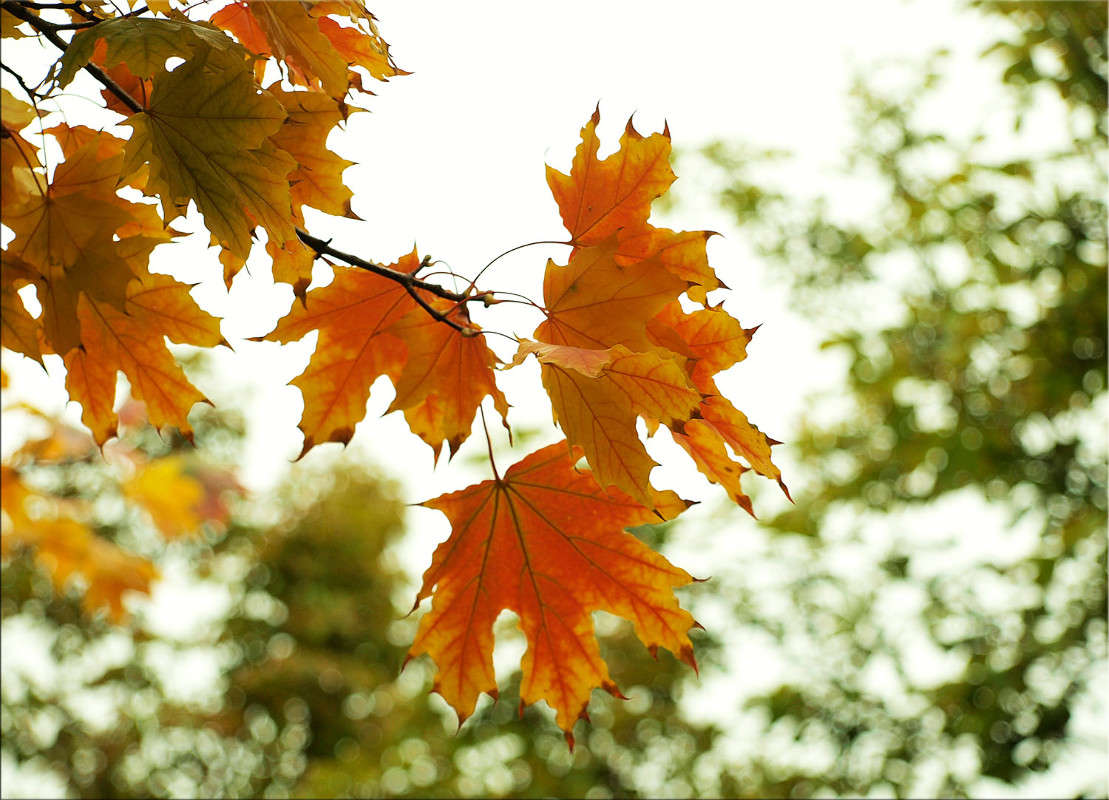 ������� �������� ����� ������  �� PhotoGeek.ru #������ ��� �������