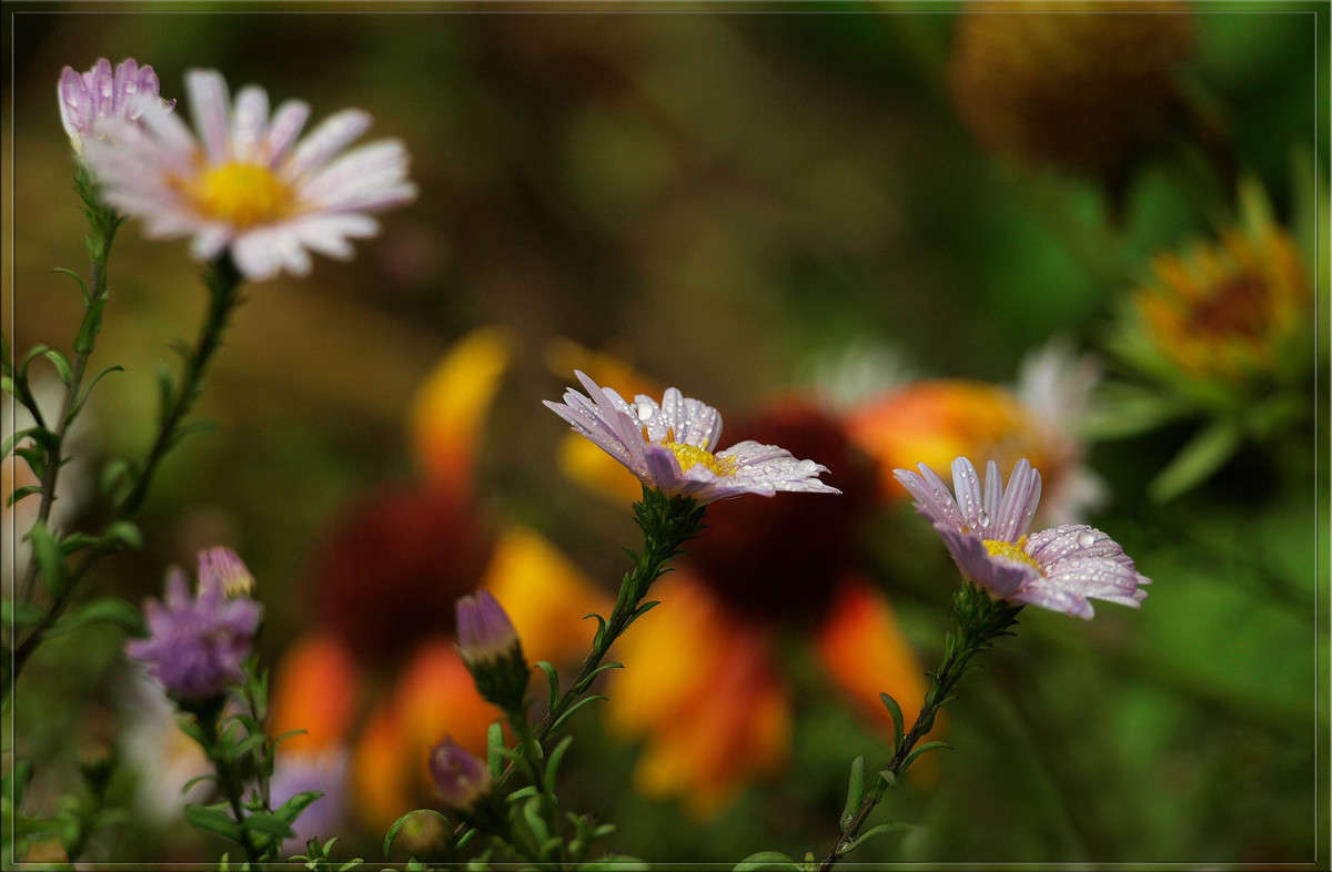 ����������� ����� ������  �� PhotoGeek.ru #������ ��� �������