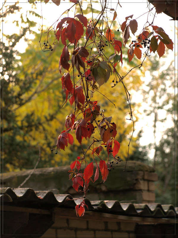 ��� ������ ����� ����� ������  �� PhotoGeek.ru #������ ��� �������