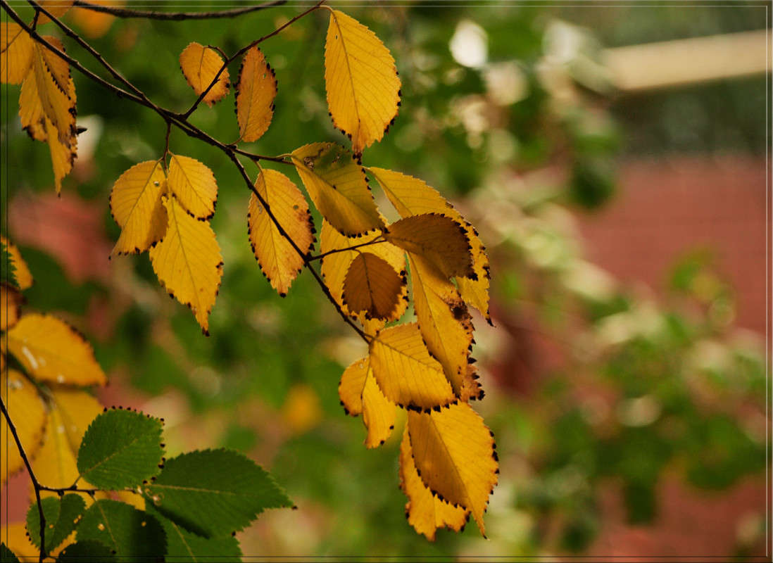 ��� ����� ����� ������  �� PhotoGeek.ru #������ ��� �������