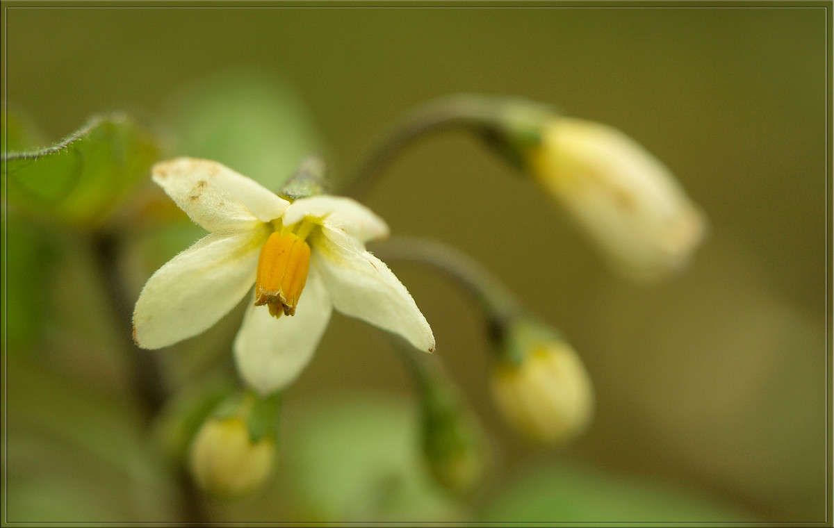 ... ����� ������  �� PhotoGeek.ru #�����