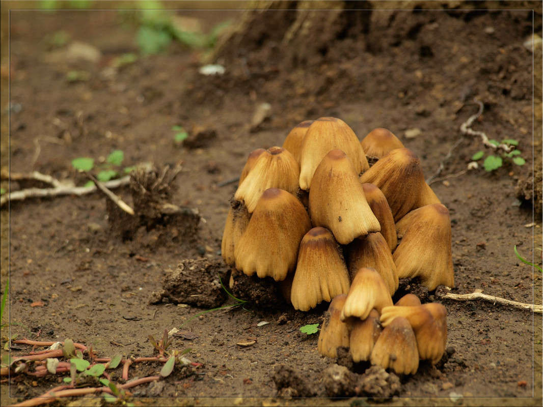 ��������� �� ���� ����� ������  �� PhotoGeek.ru #������ ��� �������