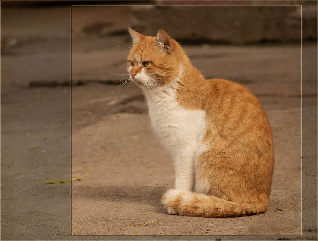 ������� ������ ����� ������  �� PhotoGeek.ru #�������� ���