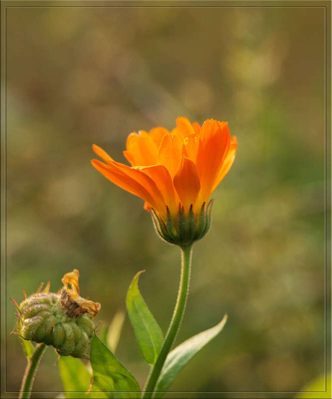 ��������� ������� ����� ������  �� PhotoGeek.ru #������ ��� �������