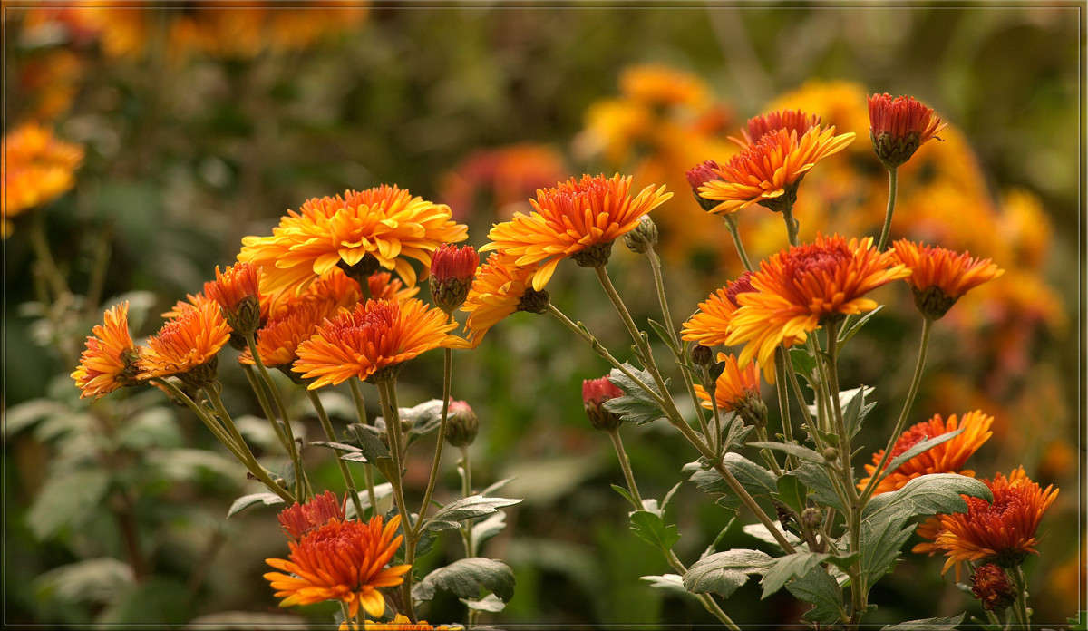 ... ����� ������  �� PhotoGeek.ru #������ ��� �������