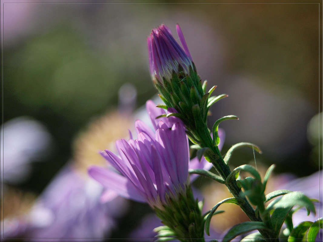 ��������� ���� � ������� 2 ����� ������  �� PhotoGeek.ru #������ ��� �������