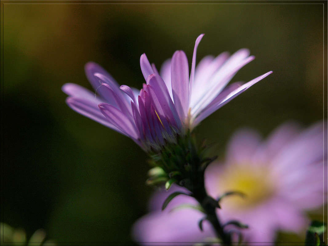 ��������� ���� � ������� 3 ����� ������  �� PhotoGeek.ru #������ ��� �������