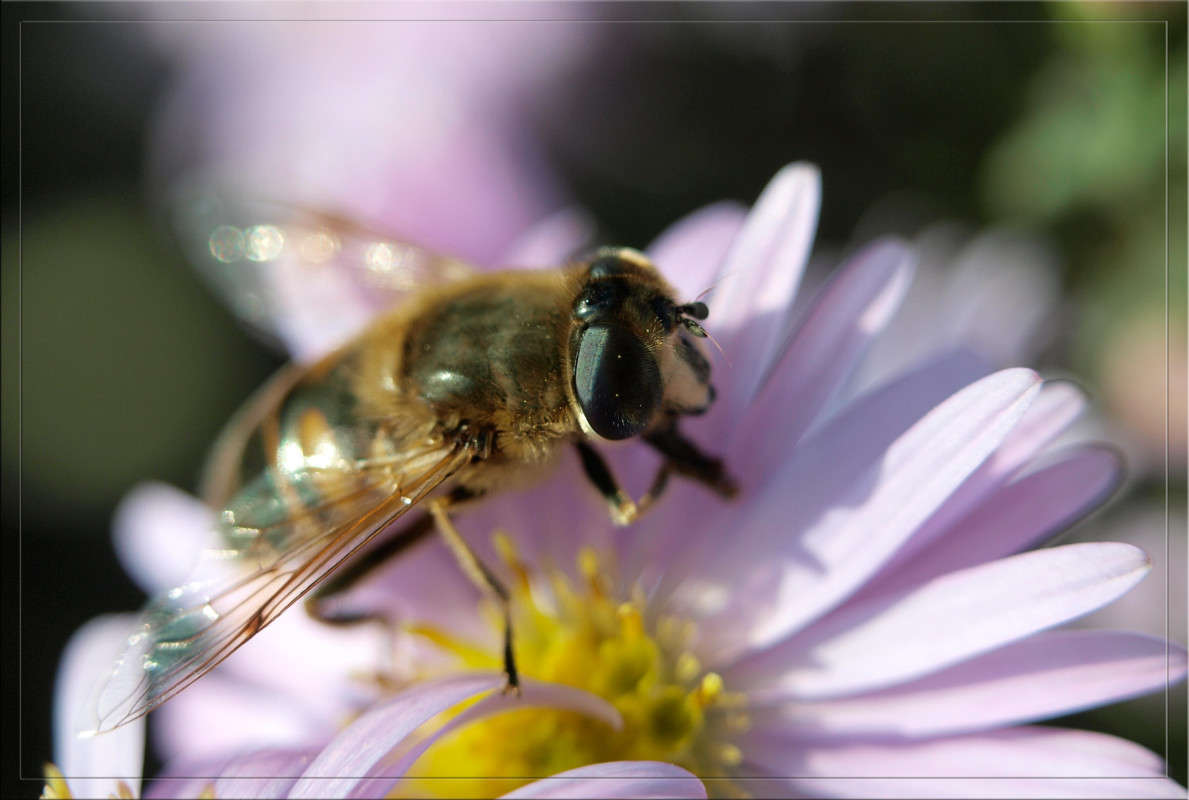 ��������� ���� � ������� 5 ����� ������  �� PhotoGeek.ru #�����