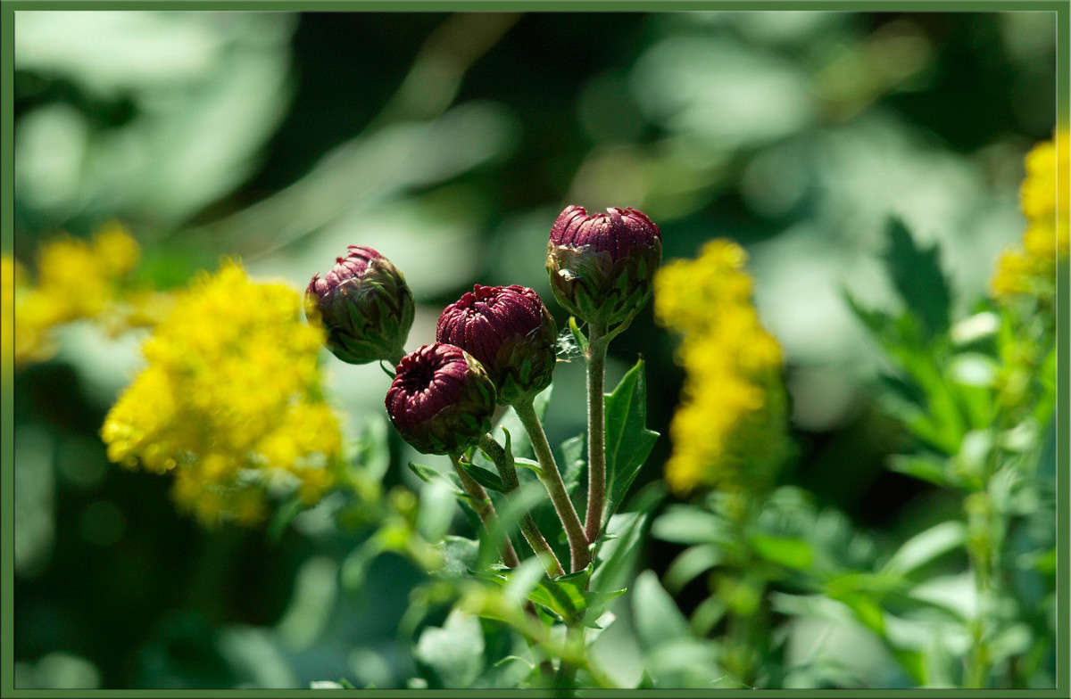 ��������� ������� ����� ������  �� PhotoGeek.ru #������ ��� �������