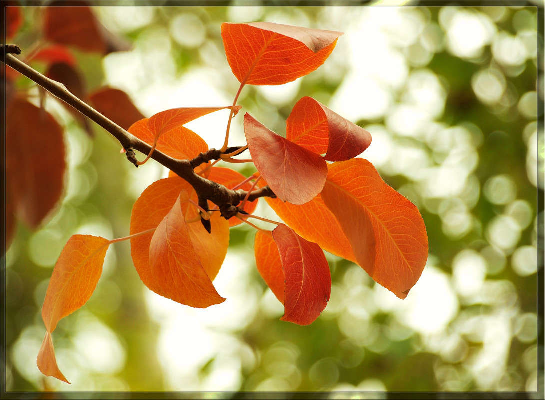 ������ ����� ����� ������  �� PhotoGeek.ru #������ ��� �������