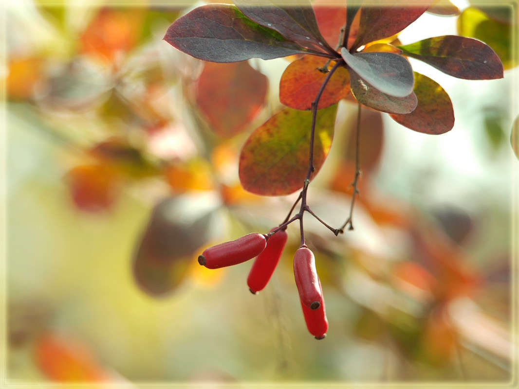 ���������� 1 ����� ������  �� PhotoGeek.ru #������ ��� �������