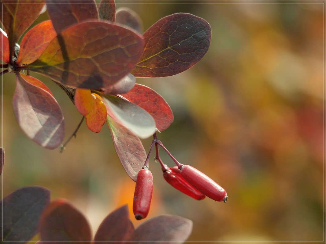 ���������� 2 ����� ������  �� PhotoGeek.ru #������ ��� �������