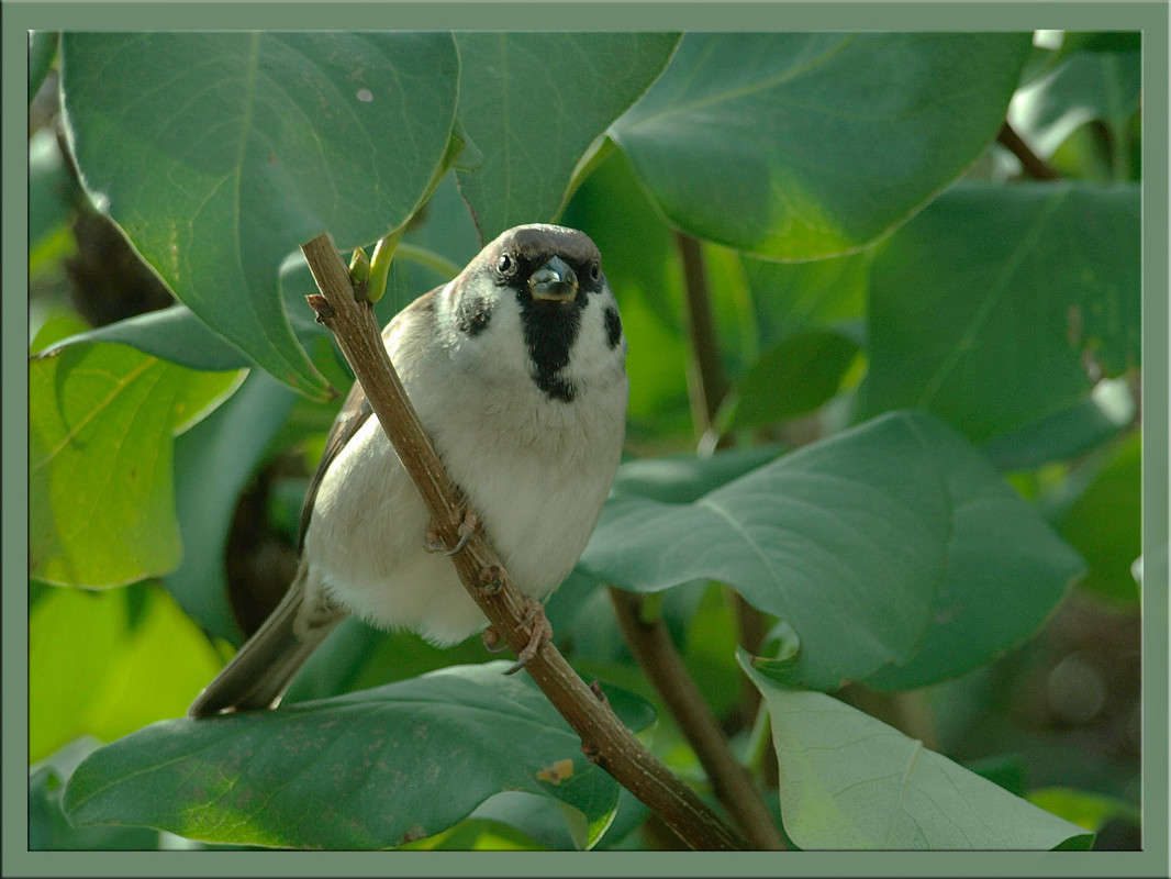 ��������� ���� ����� ������  �� PhotoGeek.ru #�������� ���