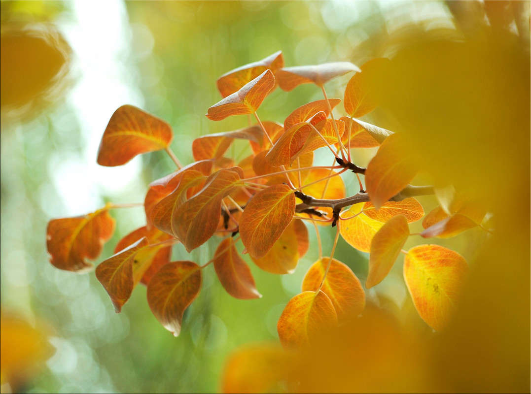 �� ����� ����� ����� ������  �� PhotoGeek.ru #������ ��� �������