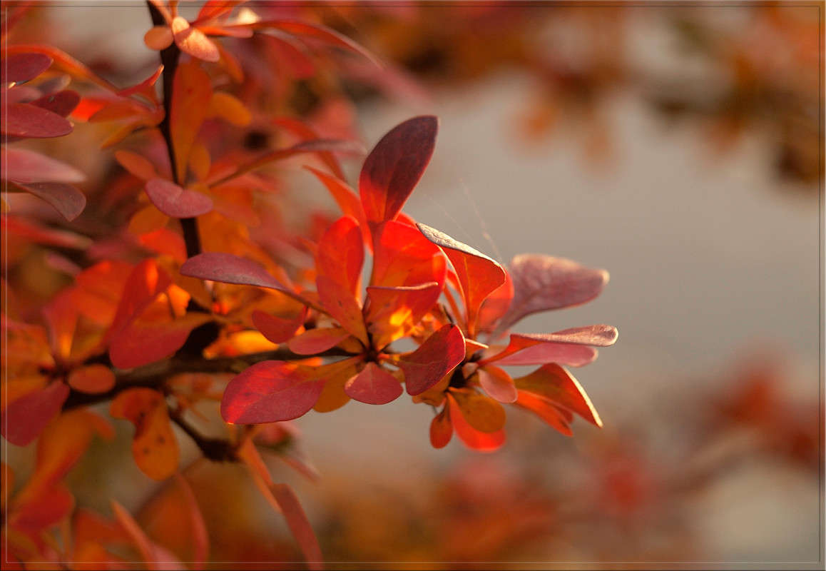 ����� ������� ������ ����� ������  �� PhotoGeek.ru #������ ��� �������