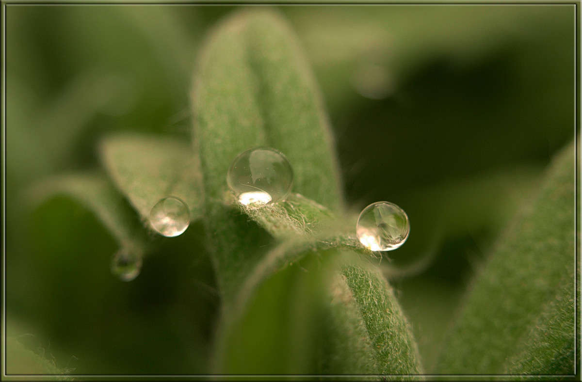 ��� ������ ����� ������  �� PhotoGeek.ru #������ ��� �������