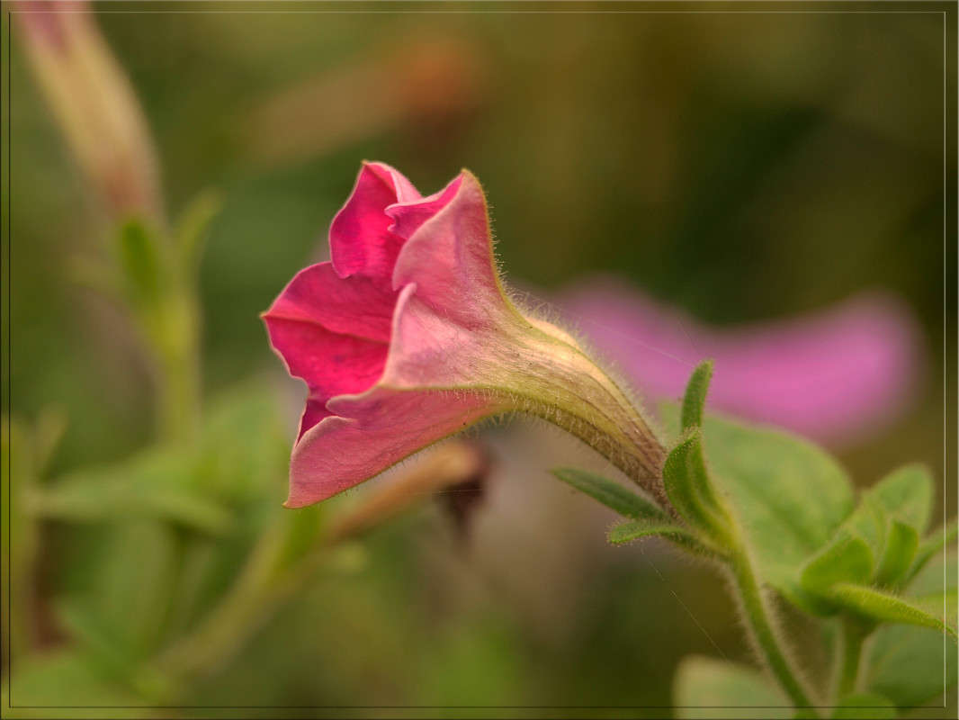 ������� ������� ����� ������  �� PhotoGeek.ru #������ ��� �������