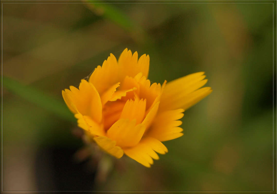 ������ ������� � ������ ���� ����� ������  �� PhotoGeek.ru #������ ��� �������