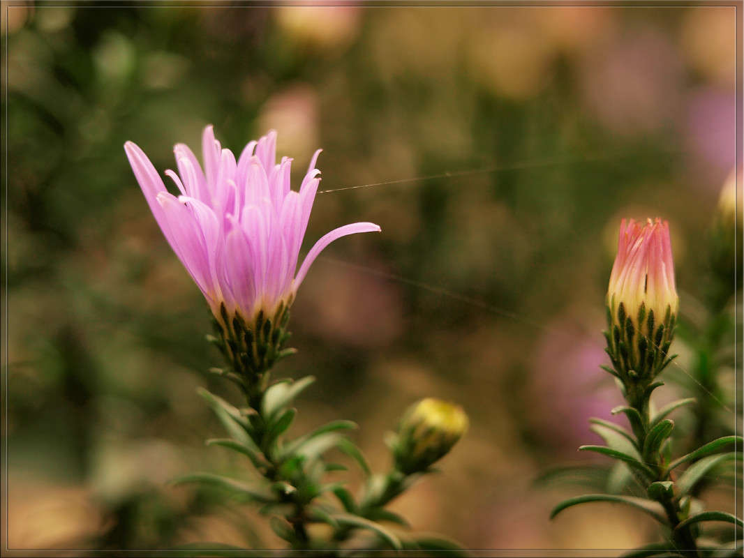 ���������� ����� ����� ������  �� PhotoGeek.ru #������ ��� �������