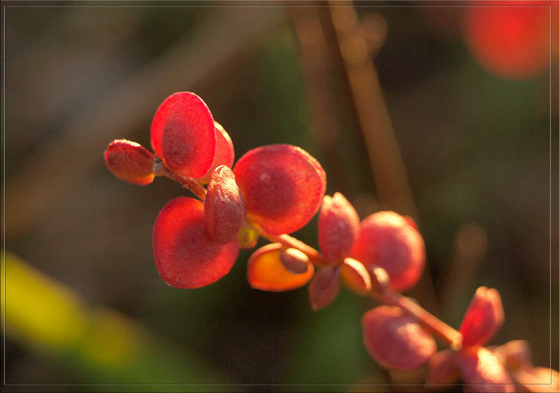 ������ ����� ������  �� PhotoGeek.ru #������ ��� �������