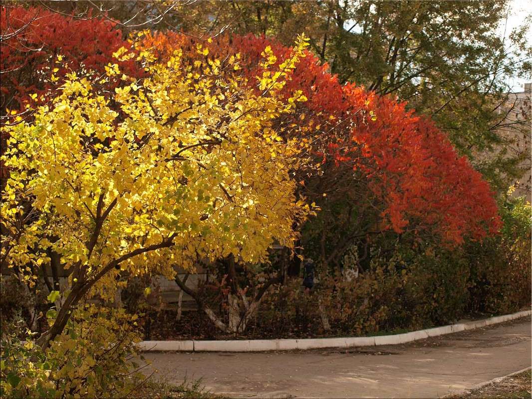 � �������� ����� ����� ������  �� PhotoGeek.ru #������ ��� �������