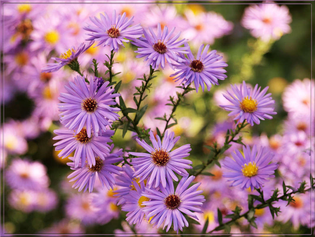 ������� ������ ����� ������  �� PhotoGeek.ru #������ ��� �������