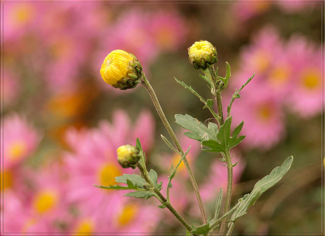 ��� � ���������� ����� ����� ������  �� PhotoGeek.ru #������ ��� �������