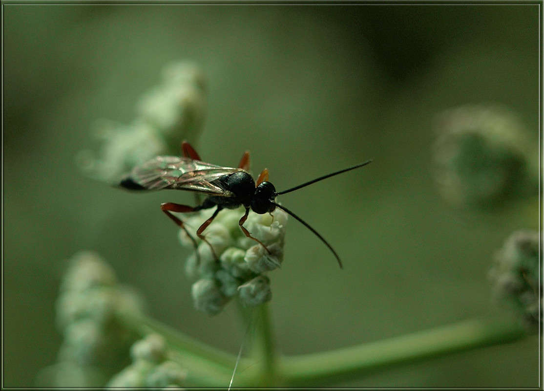 ��������� ����� ������  �� PhotoGeek.ru #�����