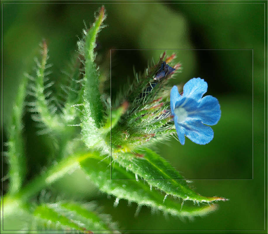 4 �� .jpg ����� ������  �� PhotoGeek.ru #�����