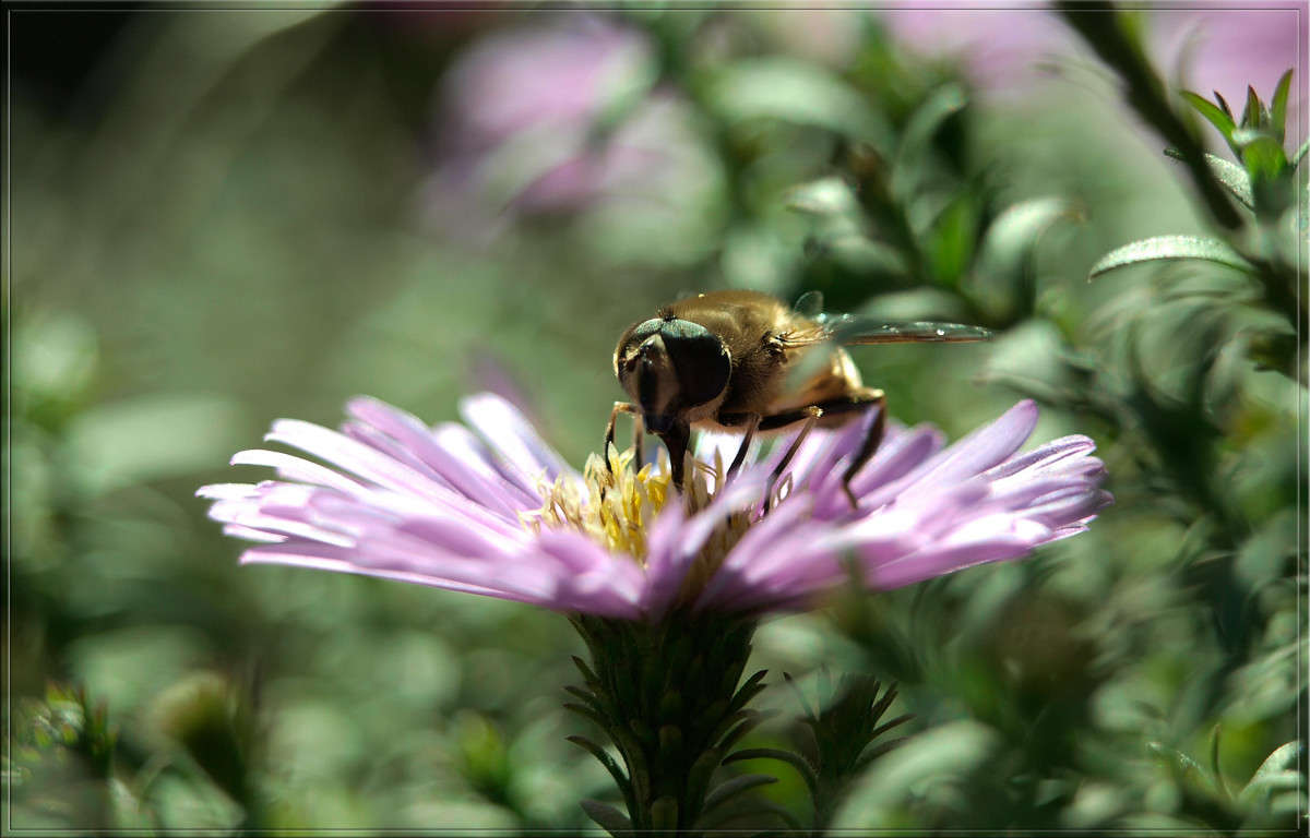 ���� 25 ������� 1 ����� ������  �� PhotoGeek.ru #�����