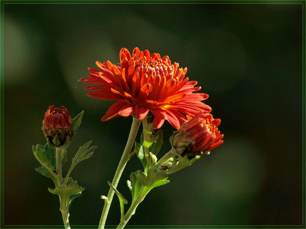 ���� 25 ������� 2 ����� ������  �� PhotoGeek.ru #������ ��� �������