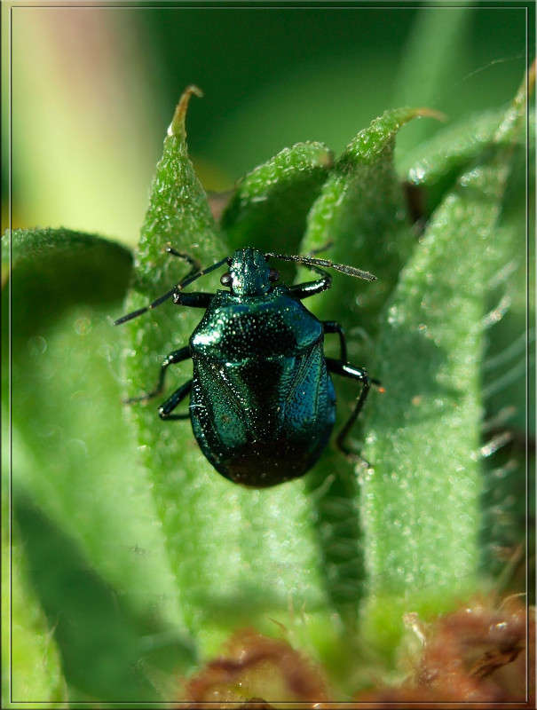 ���� 25 ������� 3 ����� ������  �� PhotoGeek.ru #�����