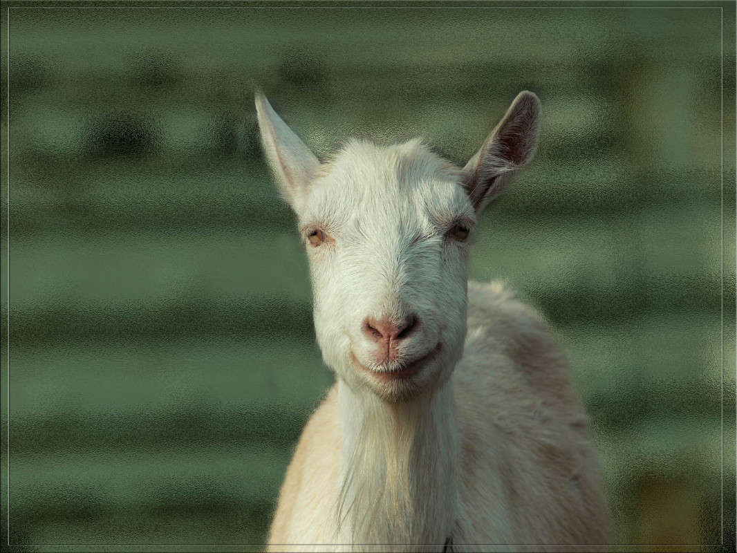 �������� ����� ������  �� PhotoGeek.ru #�������� ���