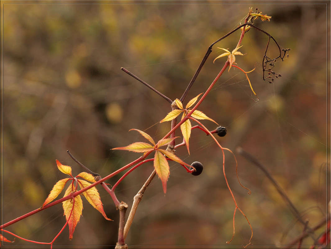 ������ �� ���� ����� ������  �� PhotoGeek.ru #������ ��� �������