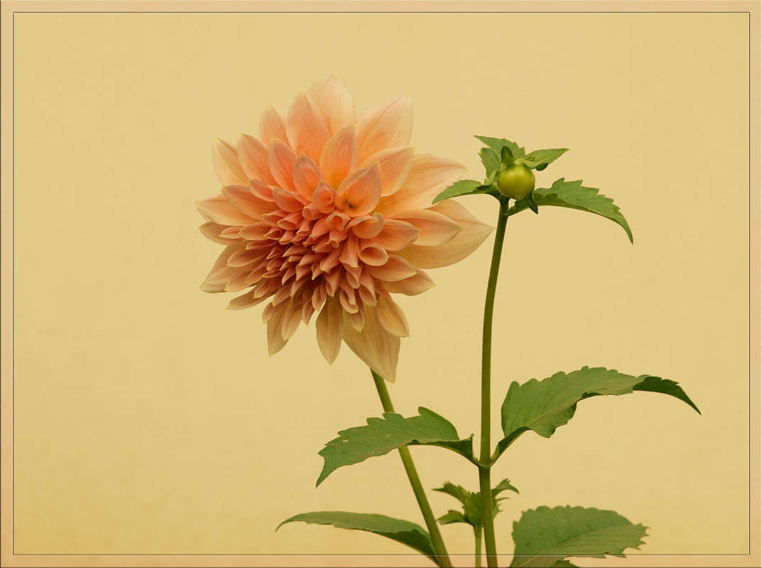 � ������ ����� ����� ������  �� PhotoGeek.ru #������ ��� �������