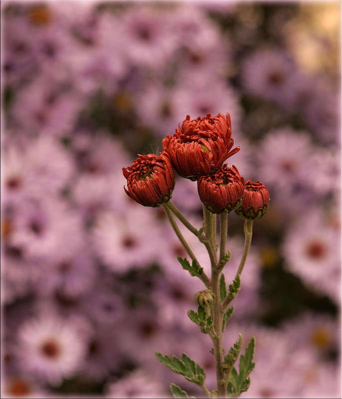 ������� � � ������� ����� ������  �� PhotoGeek.ru #������ ��� �������