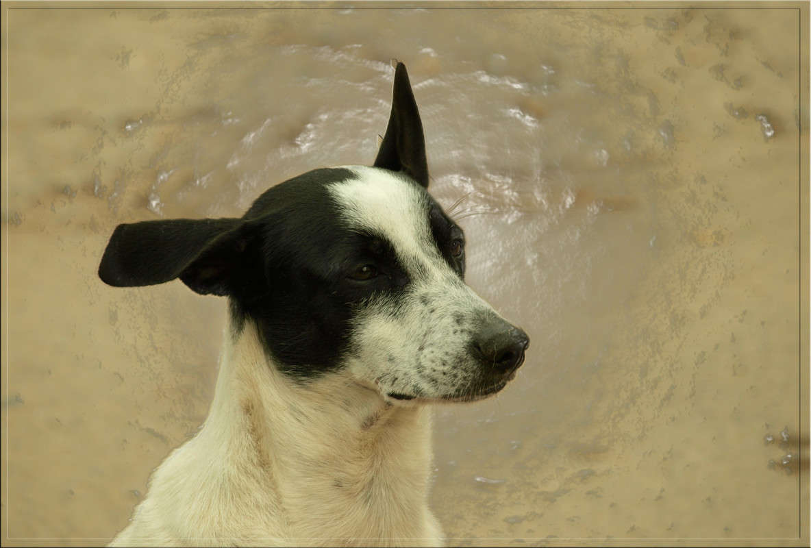 ��������������� ����� ������  �� PhotoGeek.ru #�������� ���